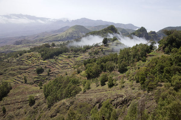 Landscape near Cova, with clouds moving over the terraces and trees, Cabo Verde Landscape of central Santo AntĂŁo, near Cova, Cabo Verde