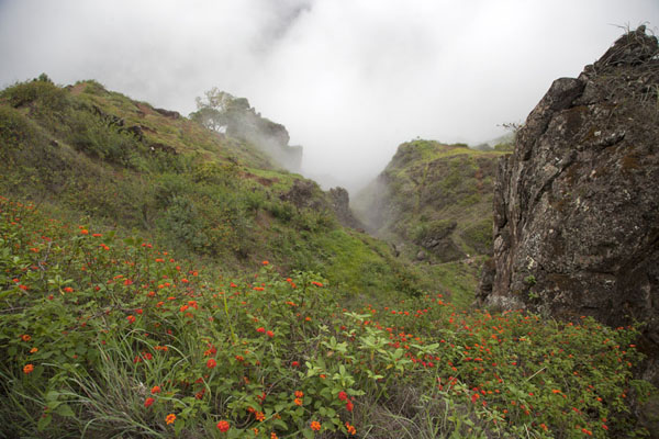 Clouds clinging to the cliffs above Ribeira da Peneda, Cabo Verde