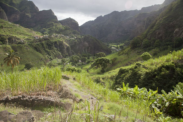 Ribeira do Paúl in the morning, Cabo Verde