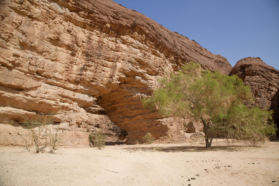 Picture of Arch with tree in the rock formations of west TerkeiTerkei - Chad