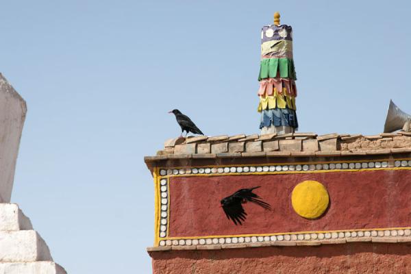 Crow flying off from the roof of a building at Batang sky burial, China