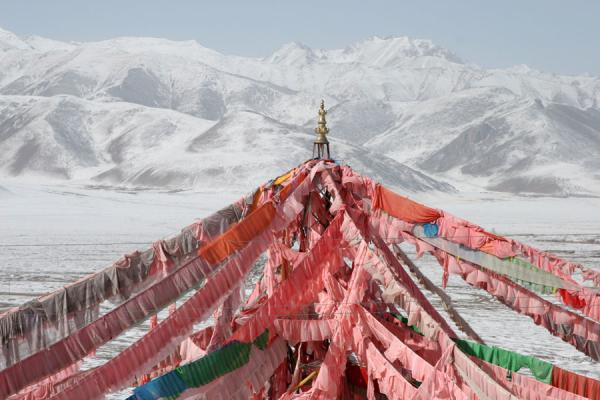 Colourful prayer flags contrasting with white mountains at Batang sky burial, China