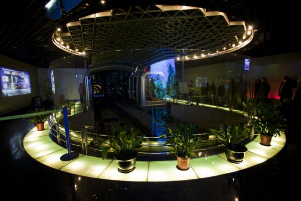 Picture of Cabin station on the Bund side of the tunnelShanghai - China