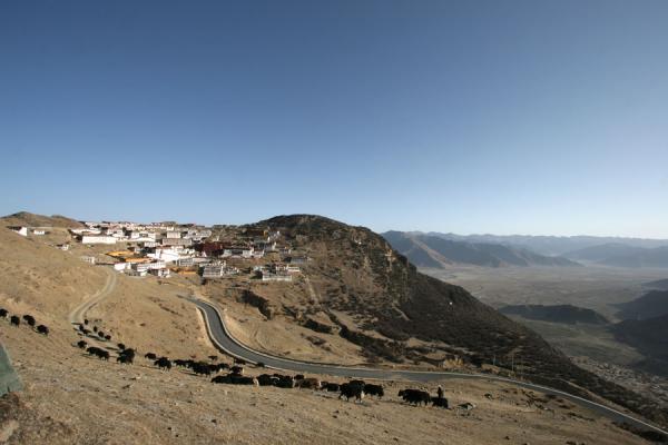 Picture of Ganden monastery, road and valleyGanden - China