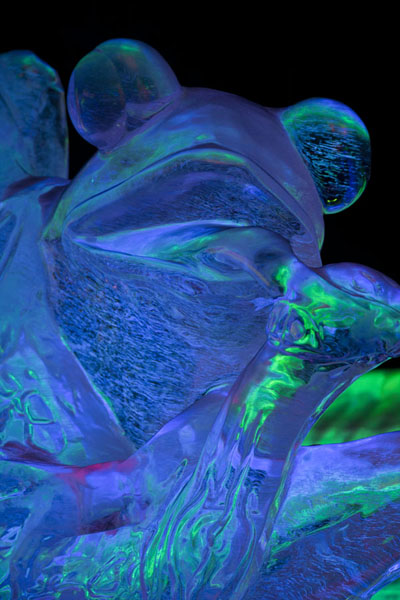 Frog sculpted of ice, Ice Lantern Art Show, China