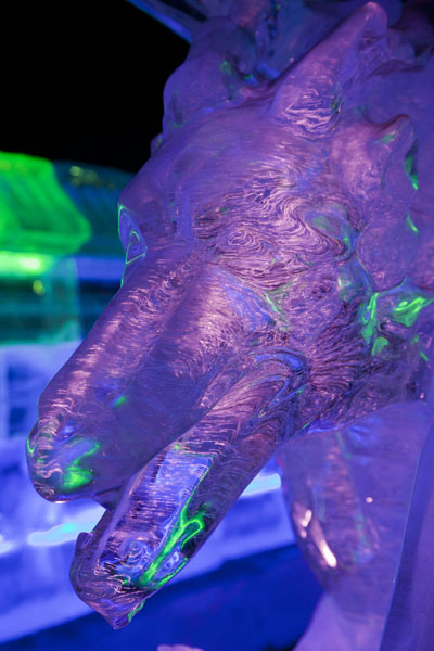 Close-up of wolf made of ice, Ice Lantern Art Show, China