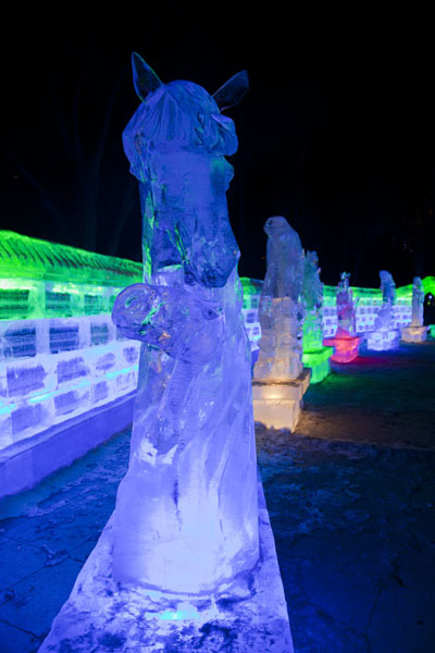Row of ice sculptures in the park, Ice Lantern Art Show, China