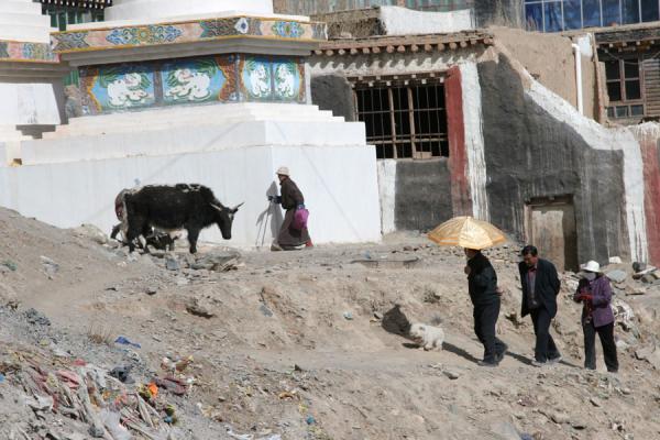 People walking the kora around Jyekundo Dondrubling | Monasterio Dondrubling | Cina