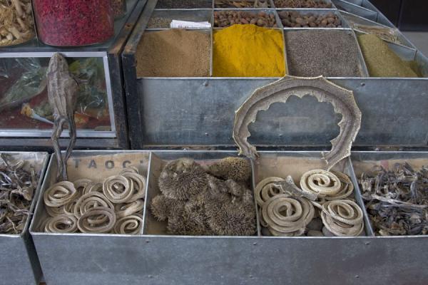 Spices and dried animals for sale at Kashgar bazaar | Bazar de Kachgar | Chine