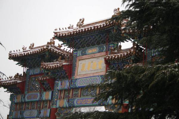 Entrance to complex hidden by trees, China