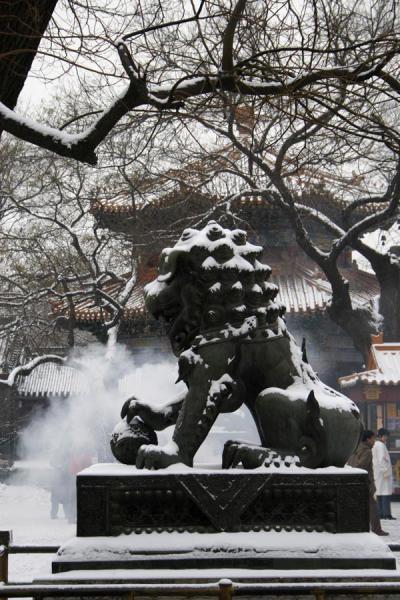 One of the giant lions guarding the entrance of the first temple, China