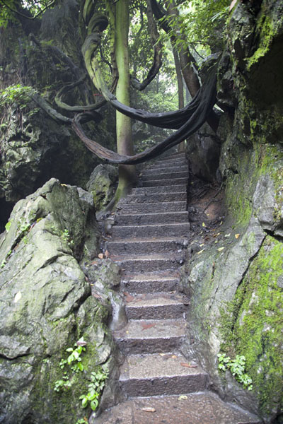 Foto di Stairs with branches in the air leading up Feilai FengHangzhou - Cina