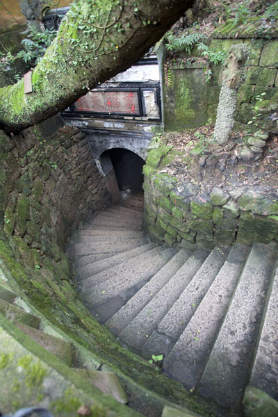Steps leading down to a small cave under an age-old tree | Putuoshan | China