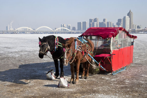 Photo de Horse carriage on the Songhua riverHarbin - Chine