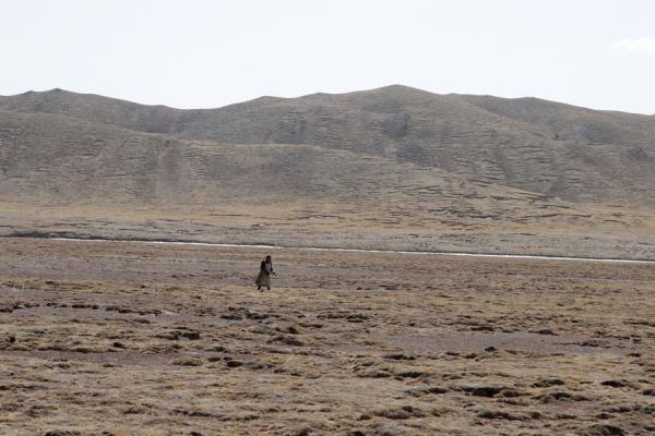 Lone Tibetan pilgrim in the barren landscape of Qinghai | Pellegrini tibetani | Cina