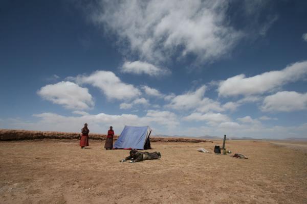 Foto di Pilgrim on the ground: Tibetan on his way to LhasaTibet - Cina