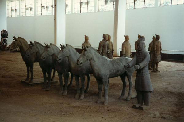 A few of the terracotta horses | Xian Terracotta Warriors | China