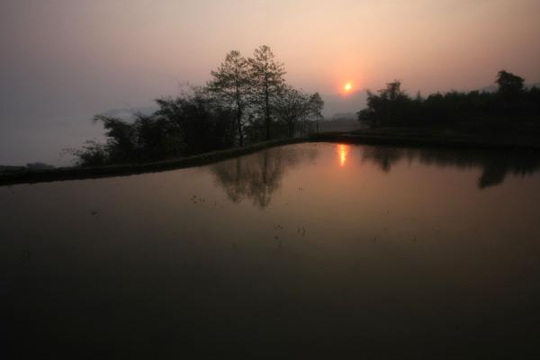 Sunrise over a rice terrace field in the Yuanyang region, Yuanyang rice terraces, China