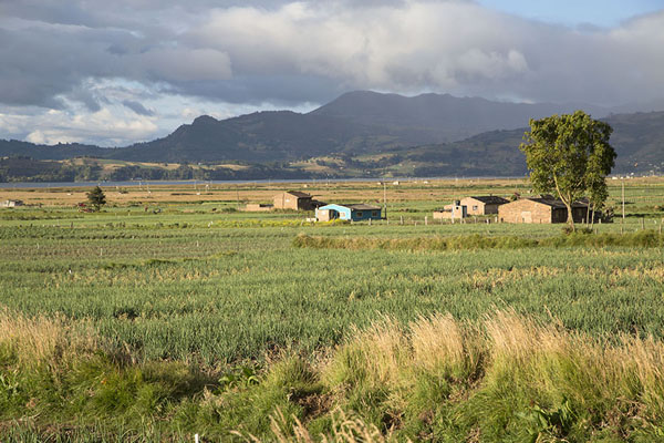 Countryside near the shore of Lake Tota, Colombia