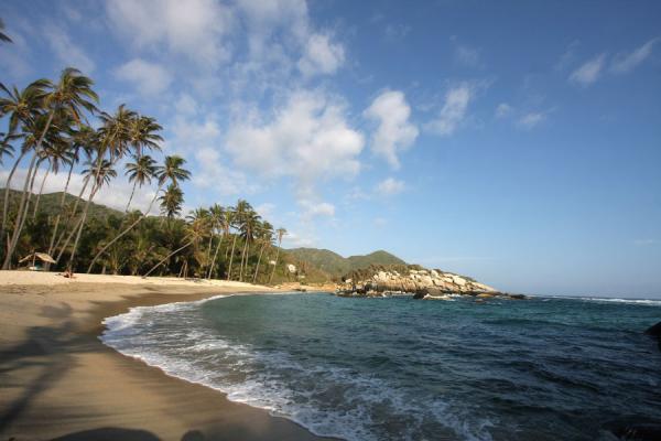 Palmtrees and beach in Parque Nacional Tayrona, Colombia