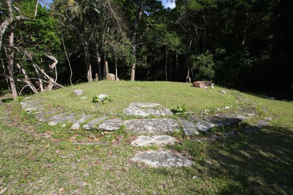 Terrace with donkey, Colombia