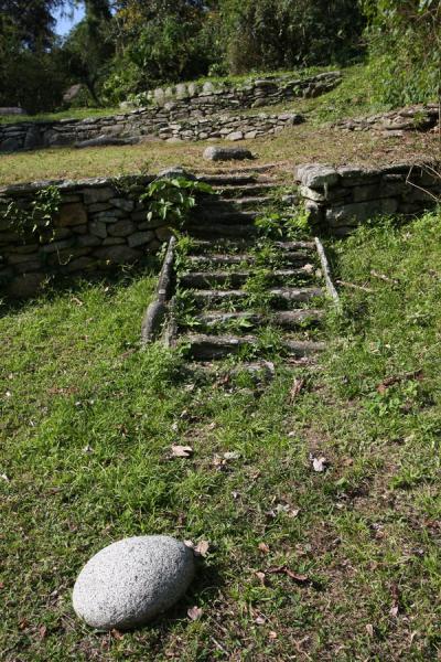 Stairs of stone made by the Tayrona, Colombia
