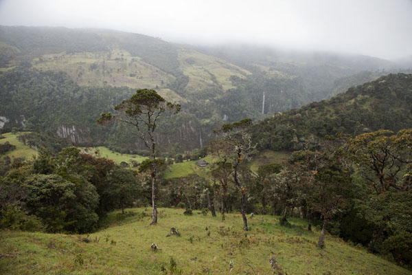 View of the landscape at the foot of the Puracé volcano, Colombia