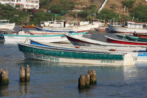 Boats moored in the bay of Taganga, Colombia