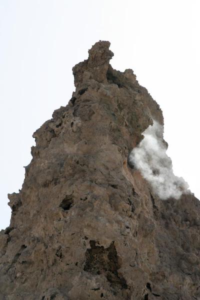 One of the chimneys of Lac Abbé | Lac AbbÃ© | Yibuti