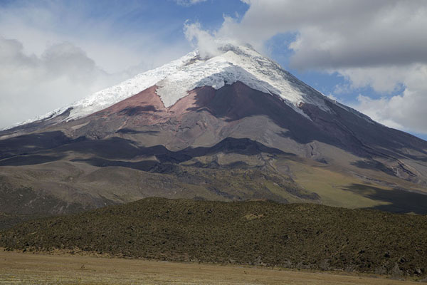 View of Cotopaxi from the north side near Limpiopungo laguna | Cotopaxi | Ecuador