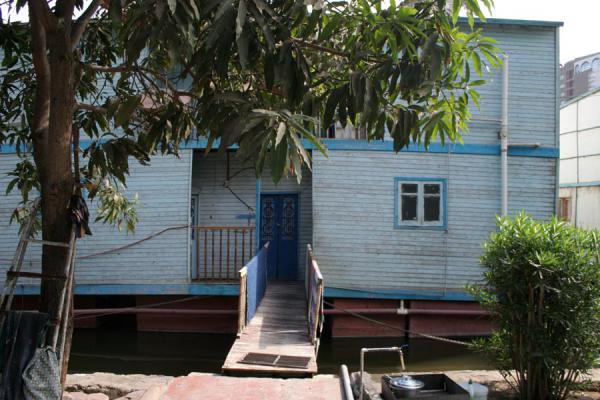 Tree, houseboat and entrance, Egypt