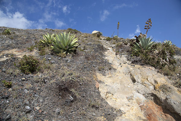 Looking up the higher slopes of the Santa Ana volcano, Santa Ana volcano, El Salvador