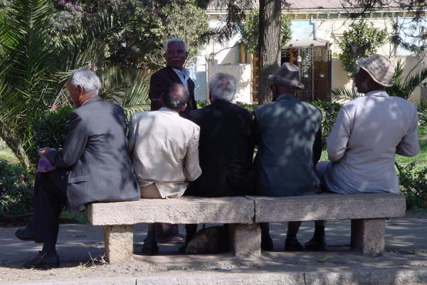 Sitting on a bench and discussing in a park in Asmara | Eritrean people | Eritrea