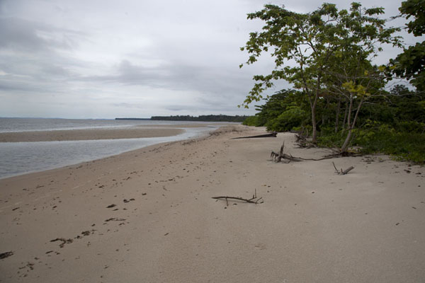 Picture of The white beach of Cap EsteriasLibreville - Gabon