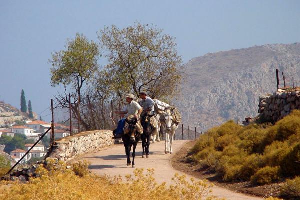 Foto de Apart from walking, the only way to go around the island is by donkeyHydra - Grecia