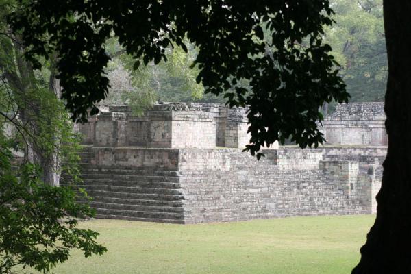 Looking at Structure 9 through the trees, Copán, Copán, Honduras