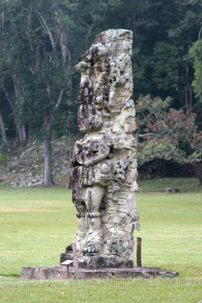 One of the stelae at the Great Plaza, Copán, Copán, Honduras