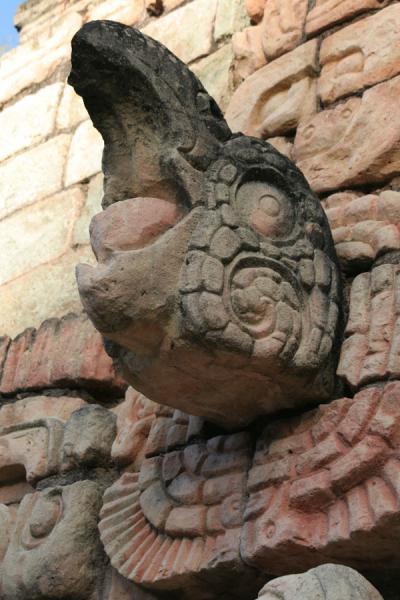 Stone macaw head at structure 10, used in the famed ball game, Copán, Copán, Honduras