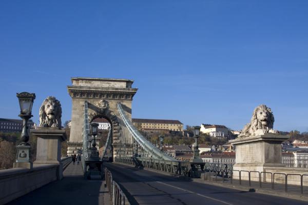 Lions guarding the entrance of Széchenyi chain bridge on the Pest side | SzÃ©chenyi kettingbrug | Hongarije