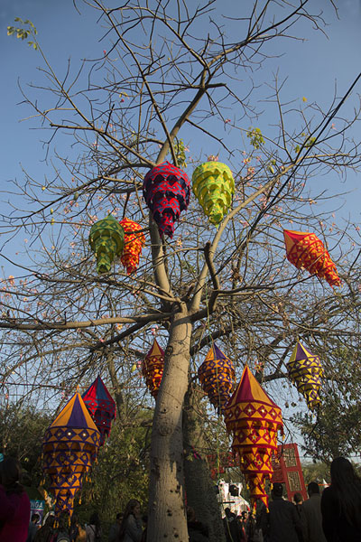 Decorative lanterns in a tree | Garden of Five Senses | India