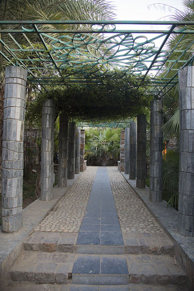 Aisle covered by plants in the Garden of Five Senses | Garden of Five Senses | India