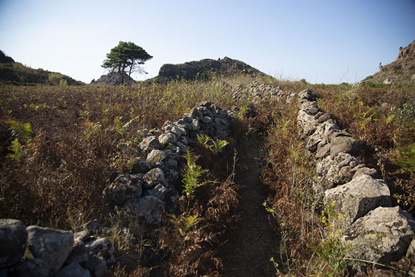 Landscape at the top of Alicudi island | Alicudi | l'Italie