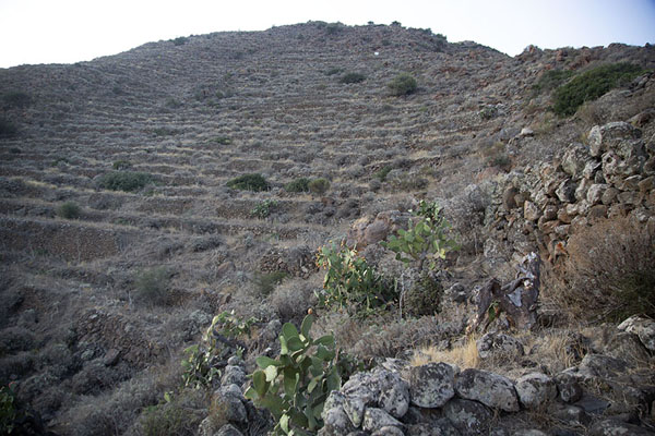 Photo de Terraces covering the mountain on AlicudiAlicudi - l'Italie