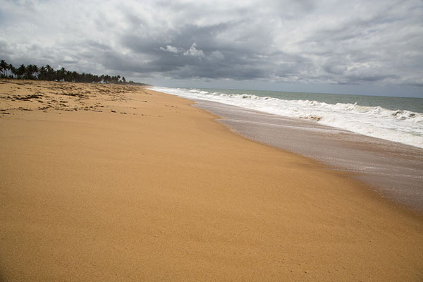 Atlantic waves crashing on the golden beach of Grand Lahou | Azagny National Park | Ivoorkust