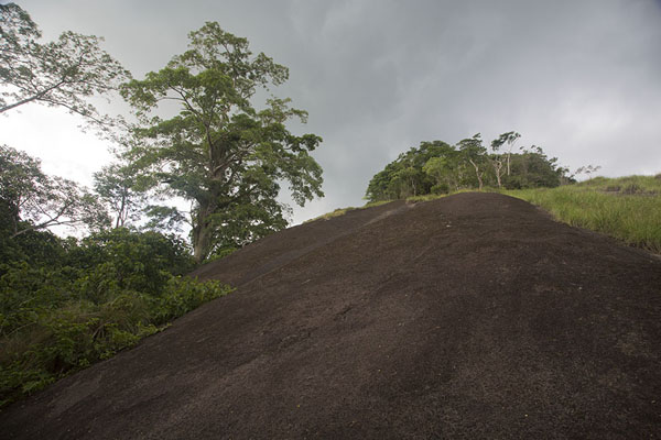 Looking up the rocky top of Mount Nienokoué | Djiroutou TaÃ¯ National Park | Costa d'Avorio