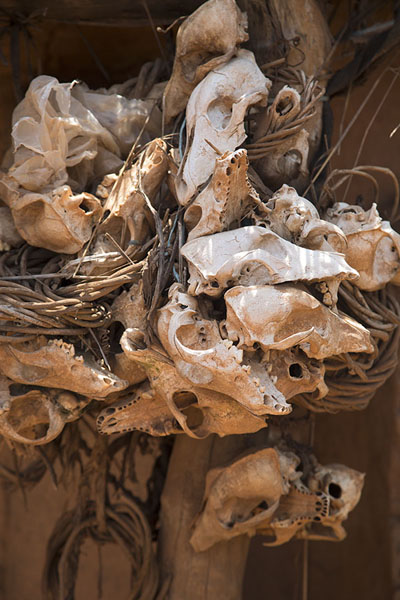 Picture of Collection of skulls of sacrificed animals next to the door of a sacrificial hutNiofoin - Ivory Coast