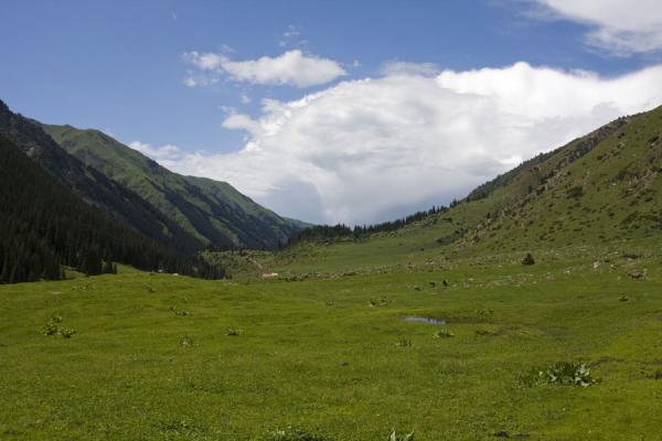 The lower Arashan valley covered with grass, Kyrgyzstan
