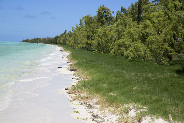 The beach on the eastern side of Ile aux Cocos, Mauritius