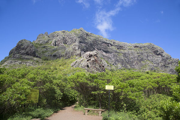 View of the top of Le Morne Brabant from below, Le Morne Brabant, Mauritius