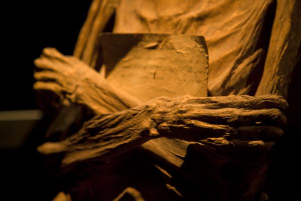 Close-up of folded hands of a mummy | Mummies Museum | Mexico